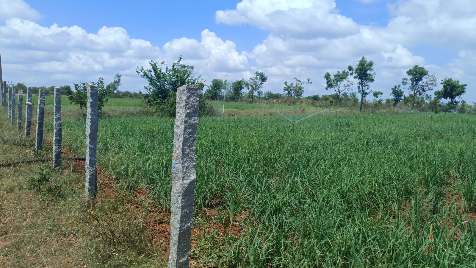 *Property ID – 515O*  🌿 *9.5 Acre General Property for Sale – Road Attached | Near Srirampura* 🌧️